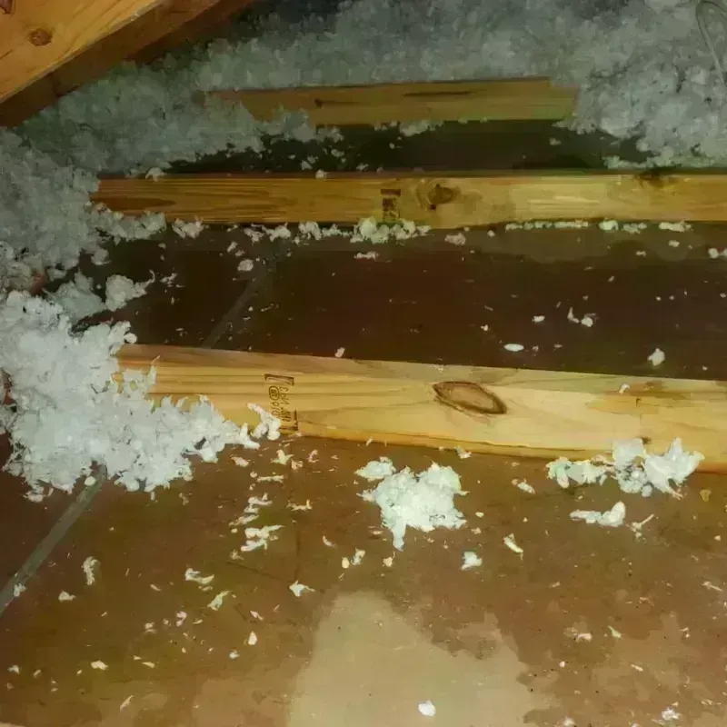 Attic Water Damage in Saint Tammany Parish, LA