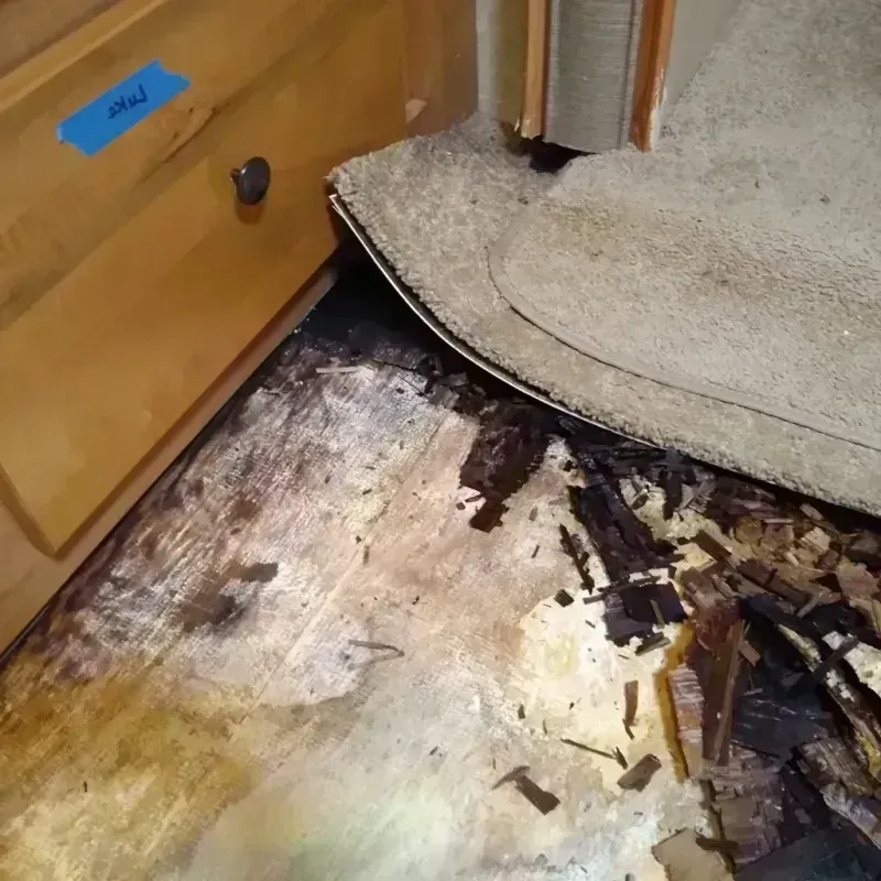 Best Wood Floor Water Damage Service in Saint Tammany Parish, LA